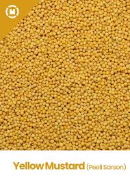 SARSO YELLOW