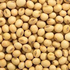 SOYABEAN DAL