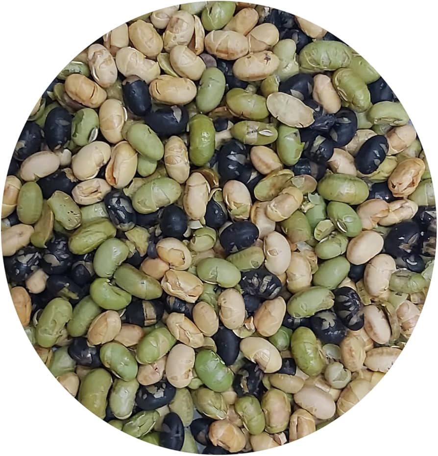 PROTIEN BEANS ROASTED