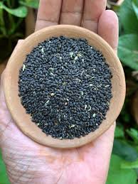 BASIL SEEDS